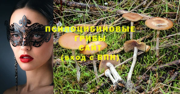 твердый Каменск-Шахтинский
