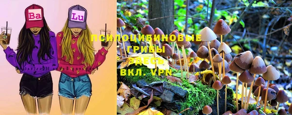 apvp Каменногорск
