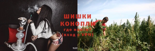 apvp Каменногорск