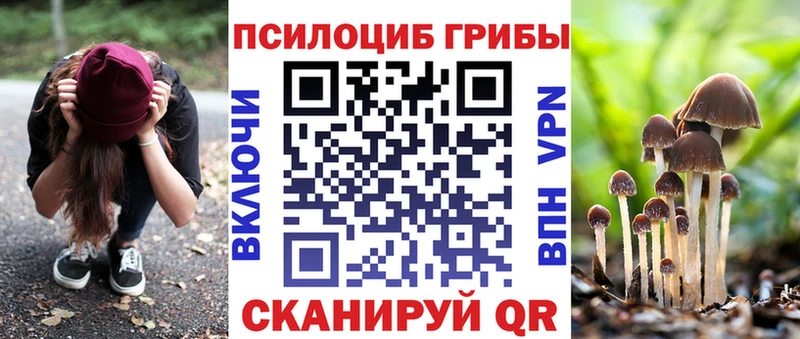 Купить  Ессентукская  Галлюциногенные грибы MAGIC MUSHROOMS 