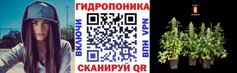 Купить где  Ессентукская  Конопля SATIVA & INDICA 